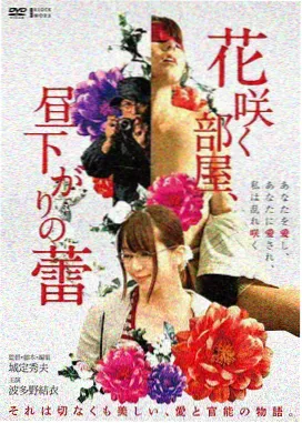 本周导演手记封面